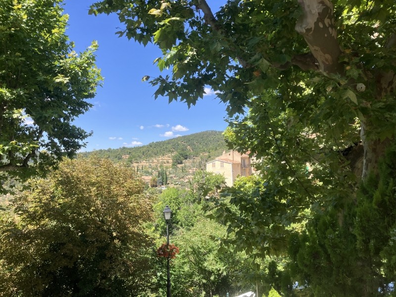 La vue de la terrasse de la Cantine
