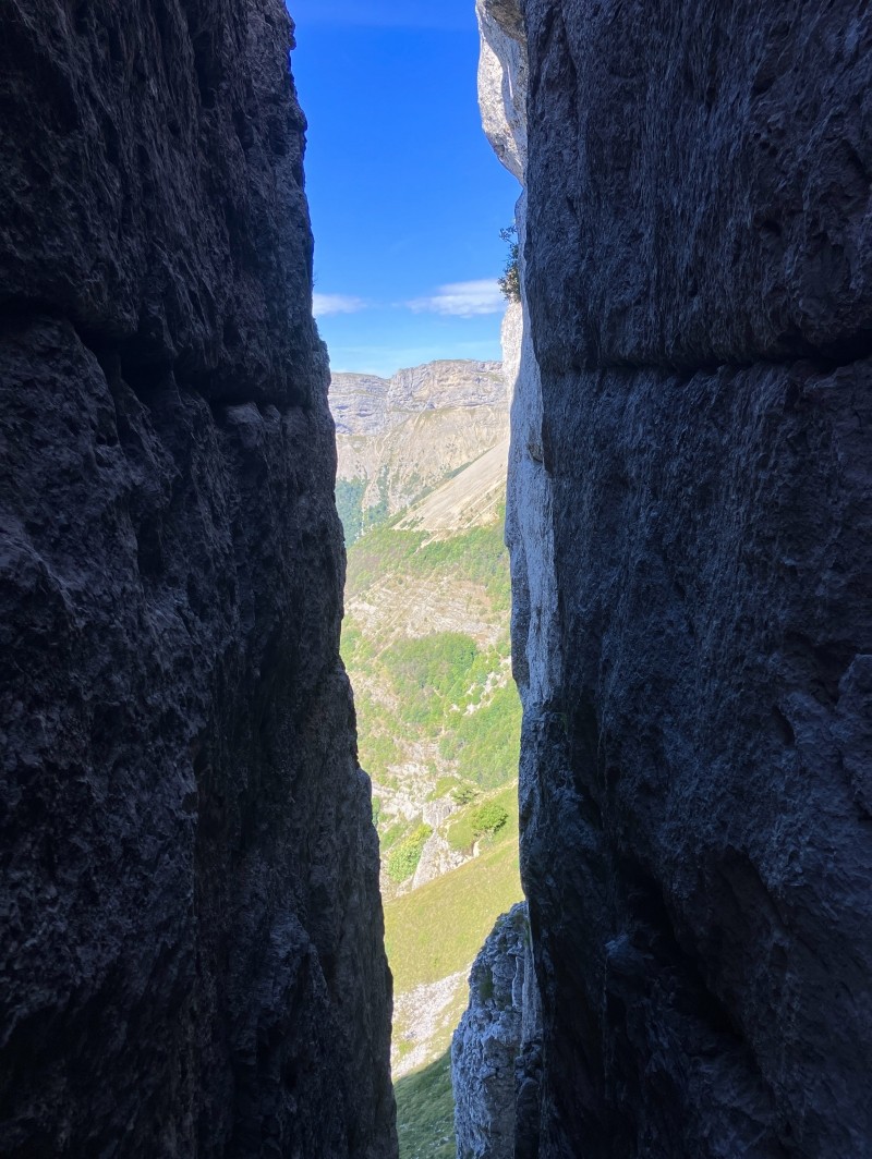 … permet de l’observer de l’intérieur