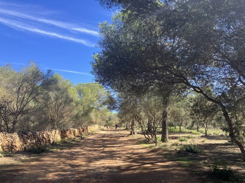 Le chemin, bien que rocailleux est relativement aisé et plat