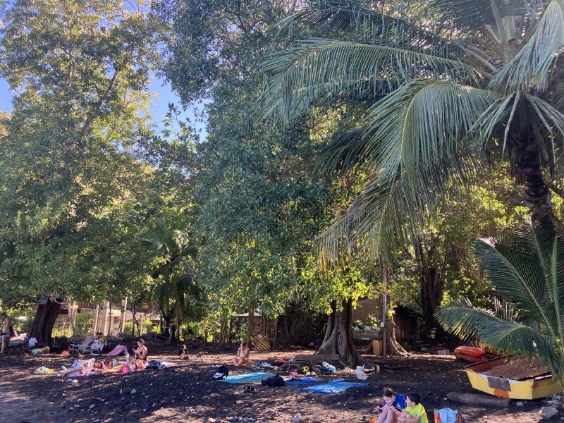 La plage de l’Anse Noire est très ombragée avec ses nombreux arbres et cocotiers