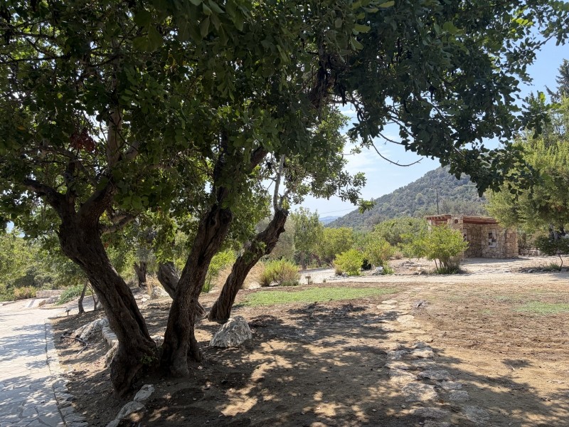 Le jardin botanique