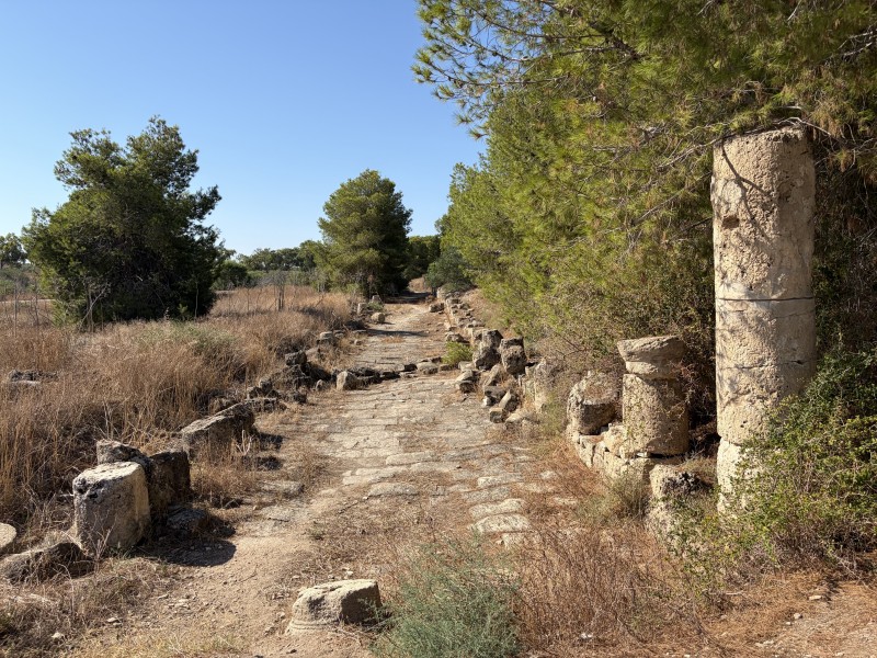 Une ancienne rue pavée à colonnes