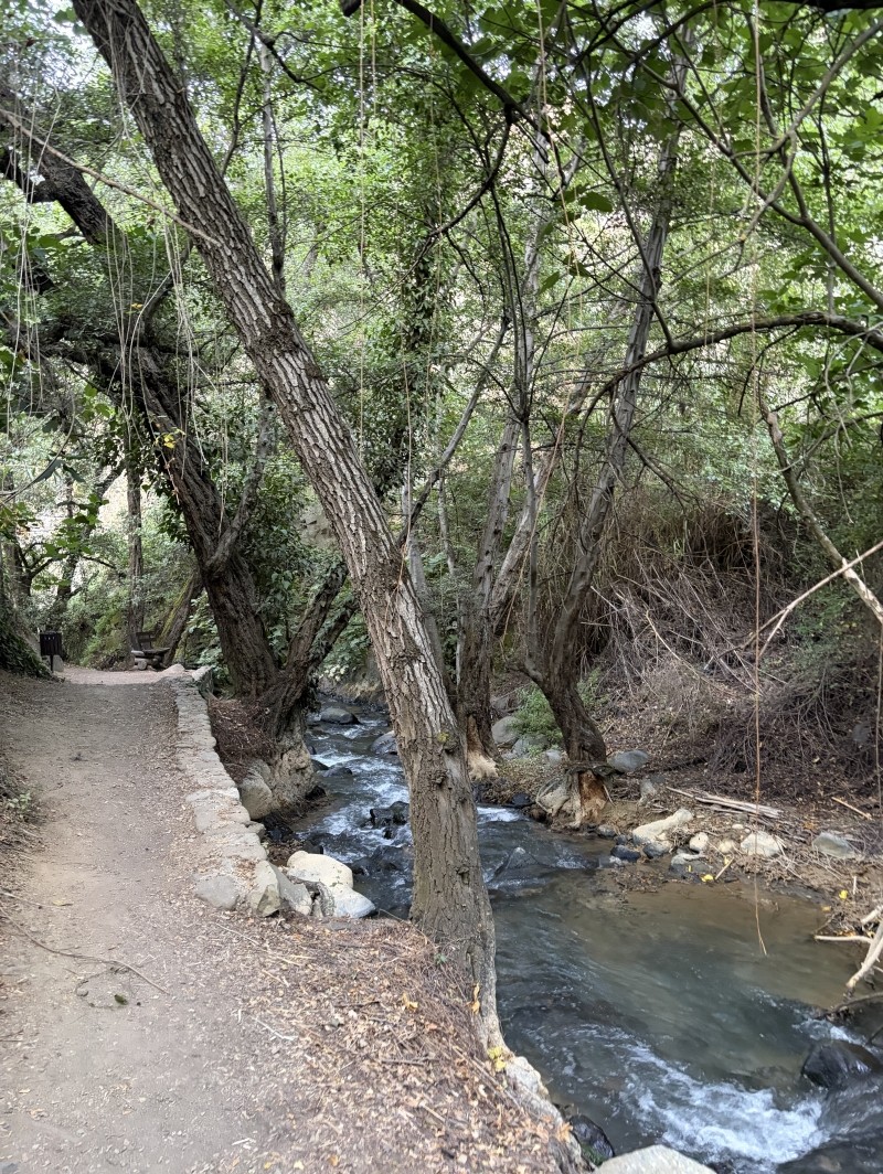 Chemin de balade le long de la rivière à travers la forêt