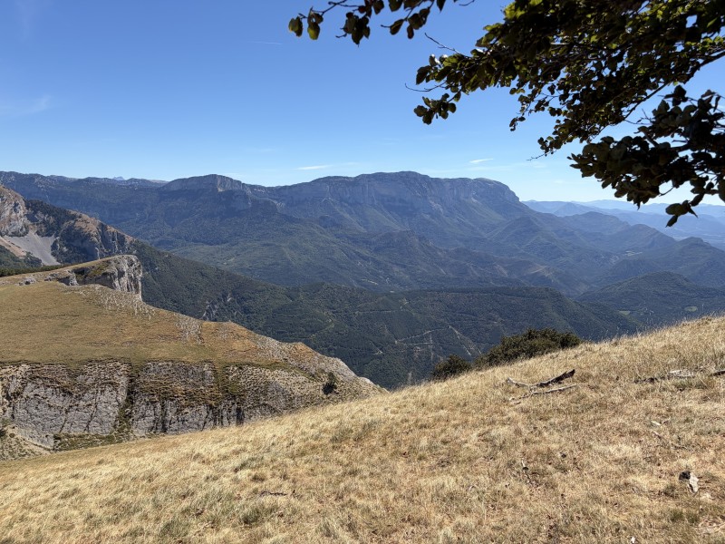 Pique-nique à l’ombre de l’arbre avec vue sur la vallée 😋