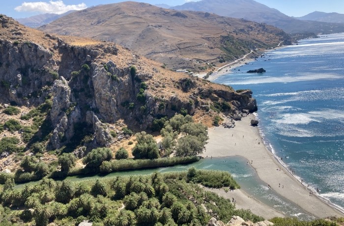 Palmeraie de Preveli