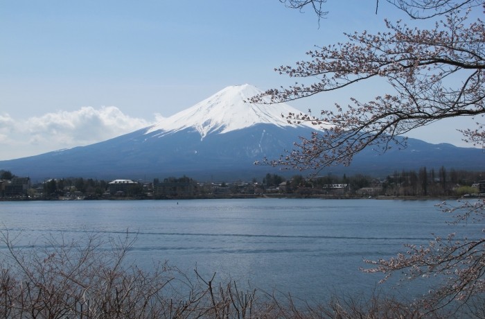 Fuji San