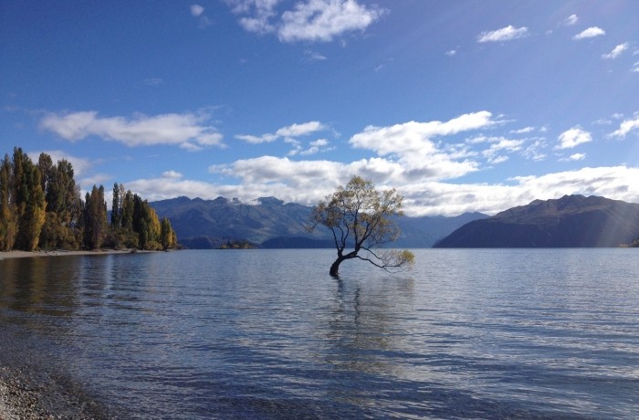 Wanaka Lake