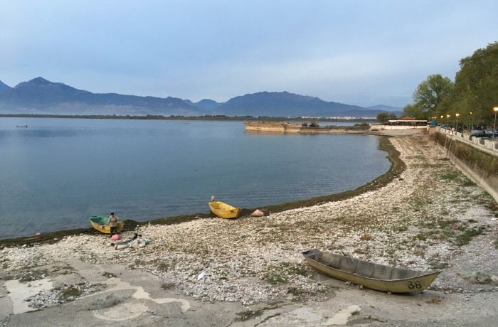 Lac de Shkodër