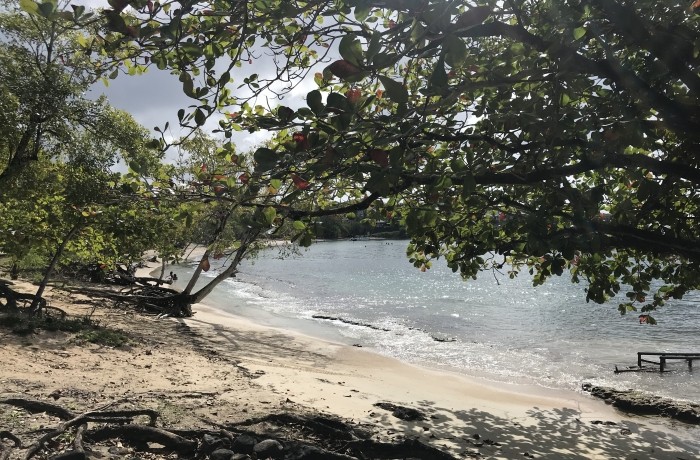 Anse Mabouyas