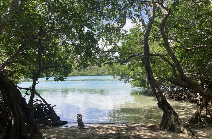 Boucle du Vauclin - Trou Cochon