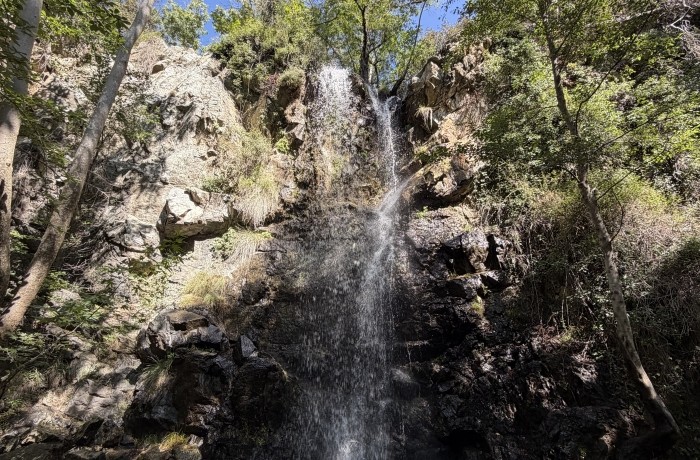 Les chutes de Caledonia
