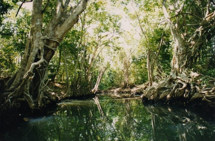 India River