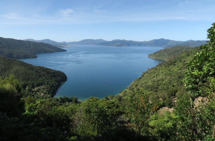 Queen Charlotte Track