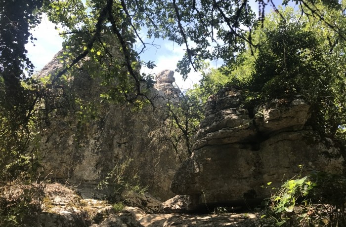 Bois de Païolive