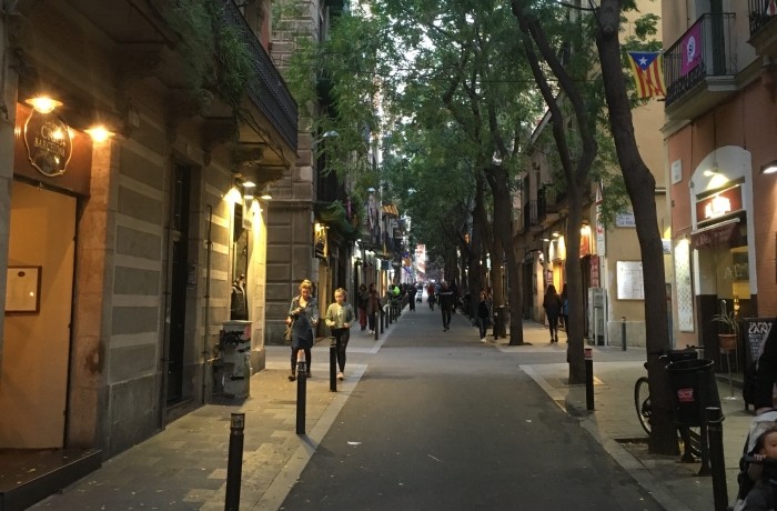 Carrer de Verdi