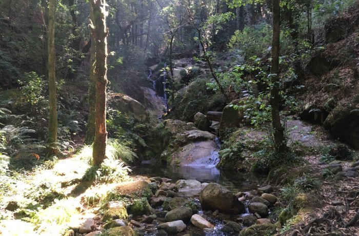 Sendero Rio da Fraga