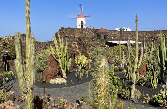 Jardín de Cactus