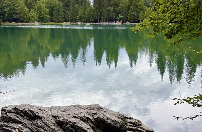 Le Lac Vert de Passy