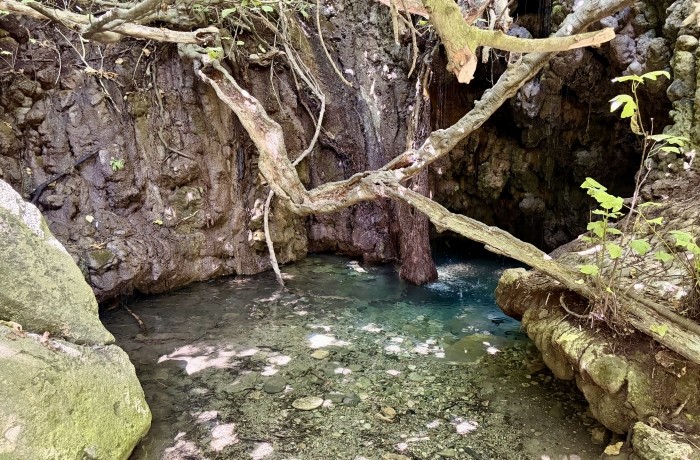 Le bain d’Aphrodite