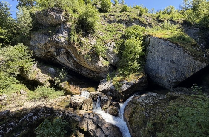 Les pertes de l’Ain