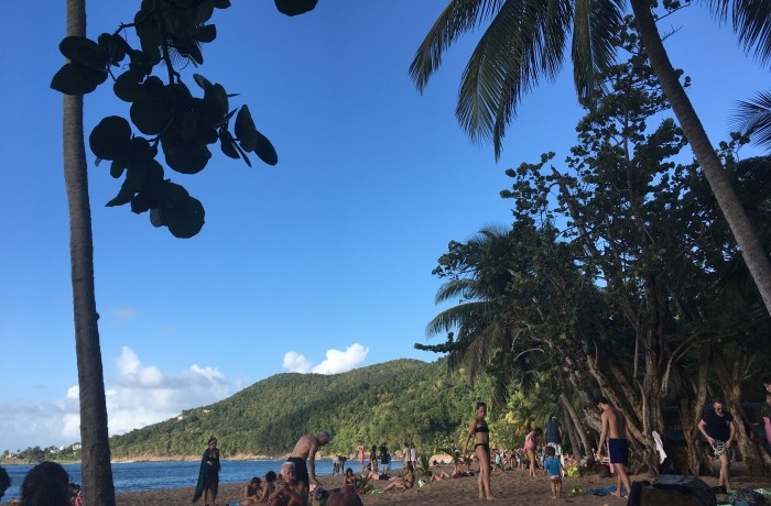 Grande Anse de Deshaies