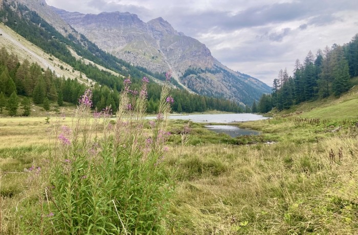 Lac de l'Orceyrette