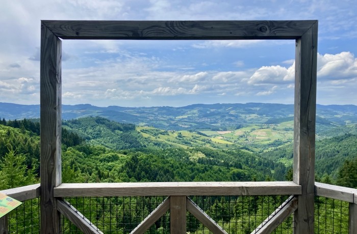 Le Forêt des Experiences