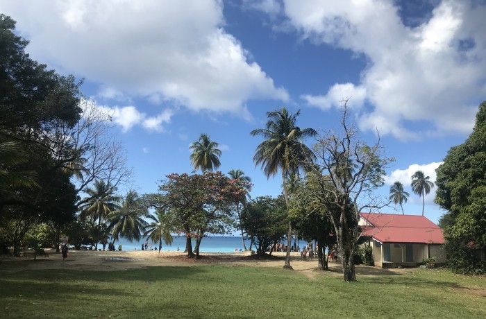 Anse Figuier